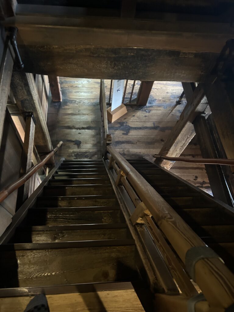 上から見下ろした階段の様子