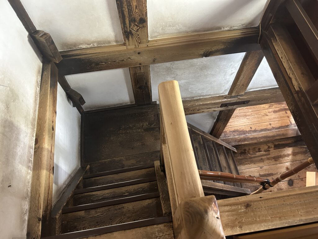 下り専用ルート