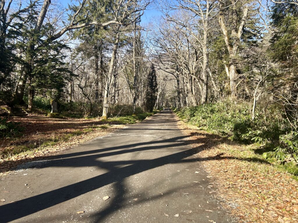 戸隠奥社へ向かう一本道