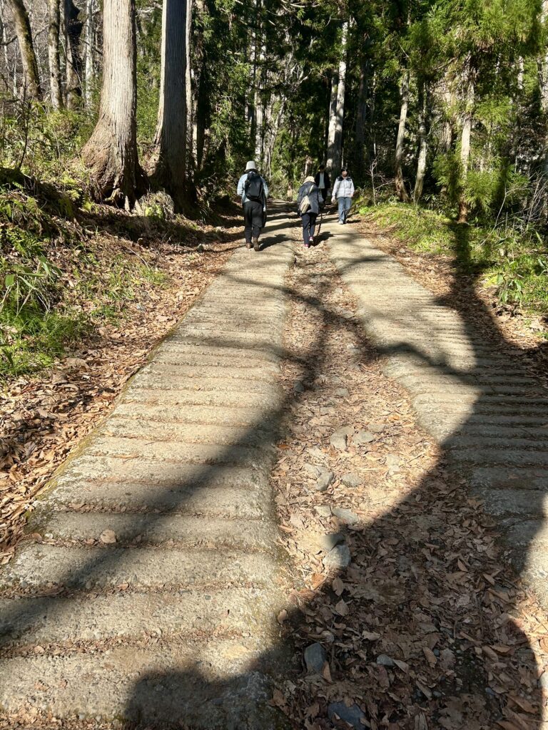 平坦な道に、次第に傾斜がつき始めた奥社参道