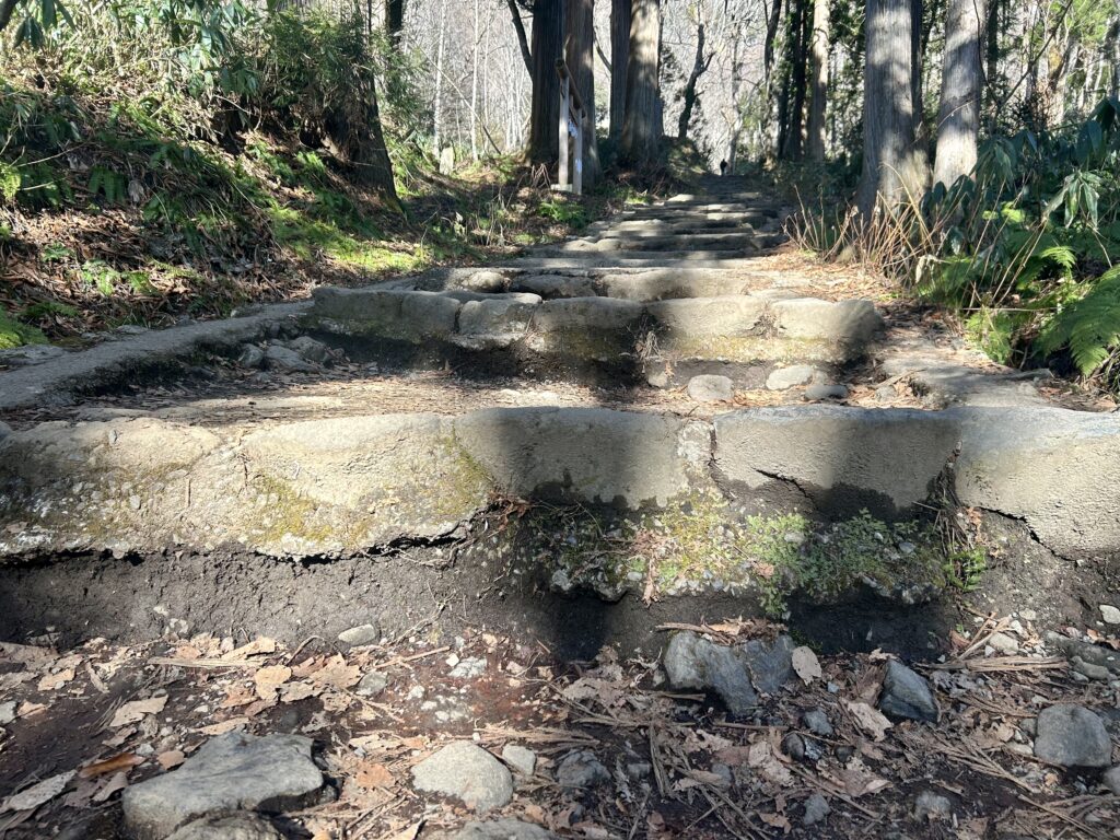 奥社手前の、最も高低差のある段差