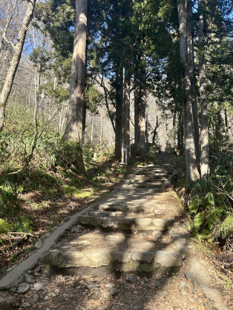 奥社へ向かう参道の階段