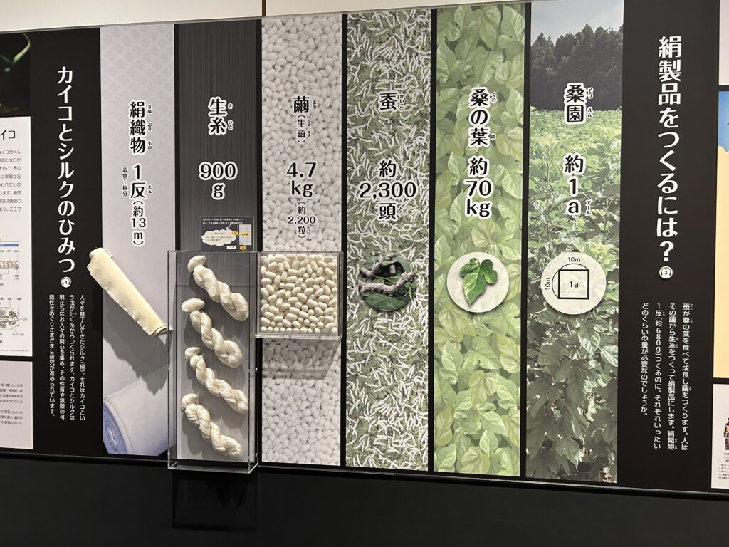 子供にもわかりやすい展示品