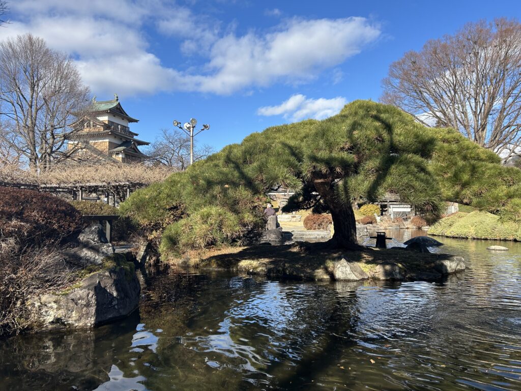 高島城を望む絶景ポイント