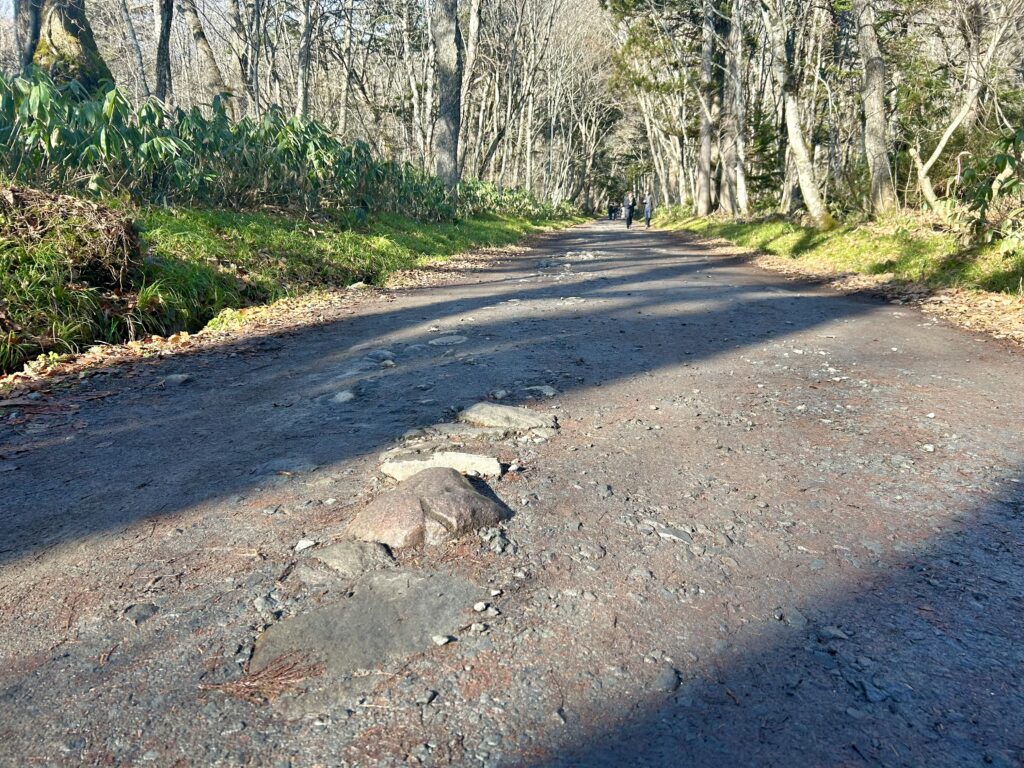 平坦な道にもある躓きやすい岩