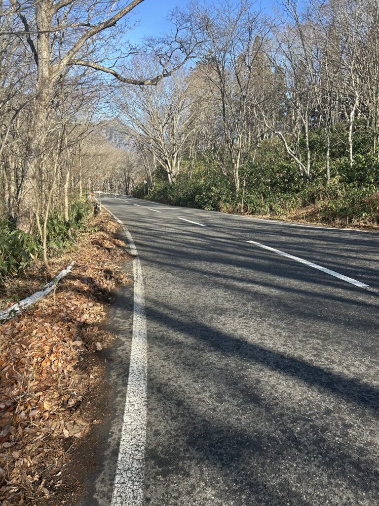 無料駐車場から奥社入口へ向かう歩道