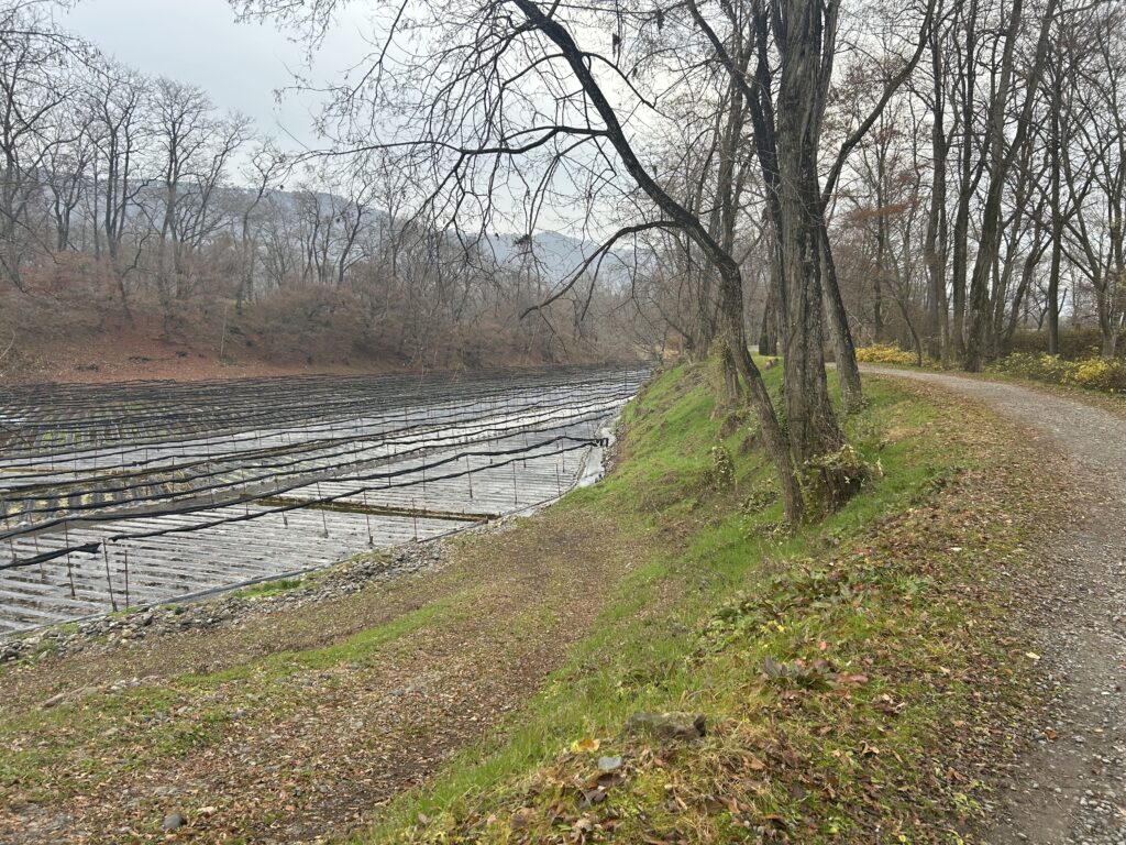 散策コース２はこの先の「湧水のはじまり」を目指しながら大王畑を一周するコース