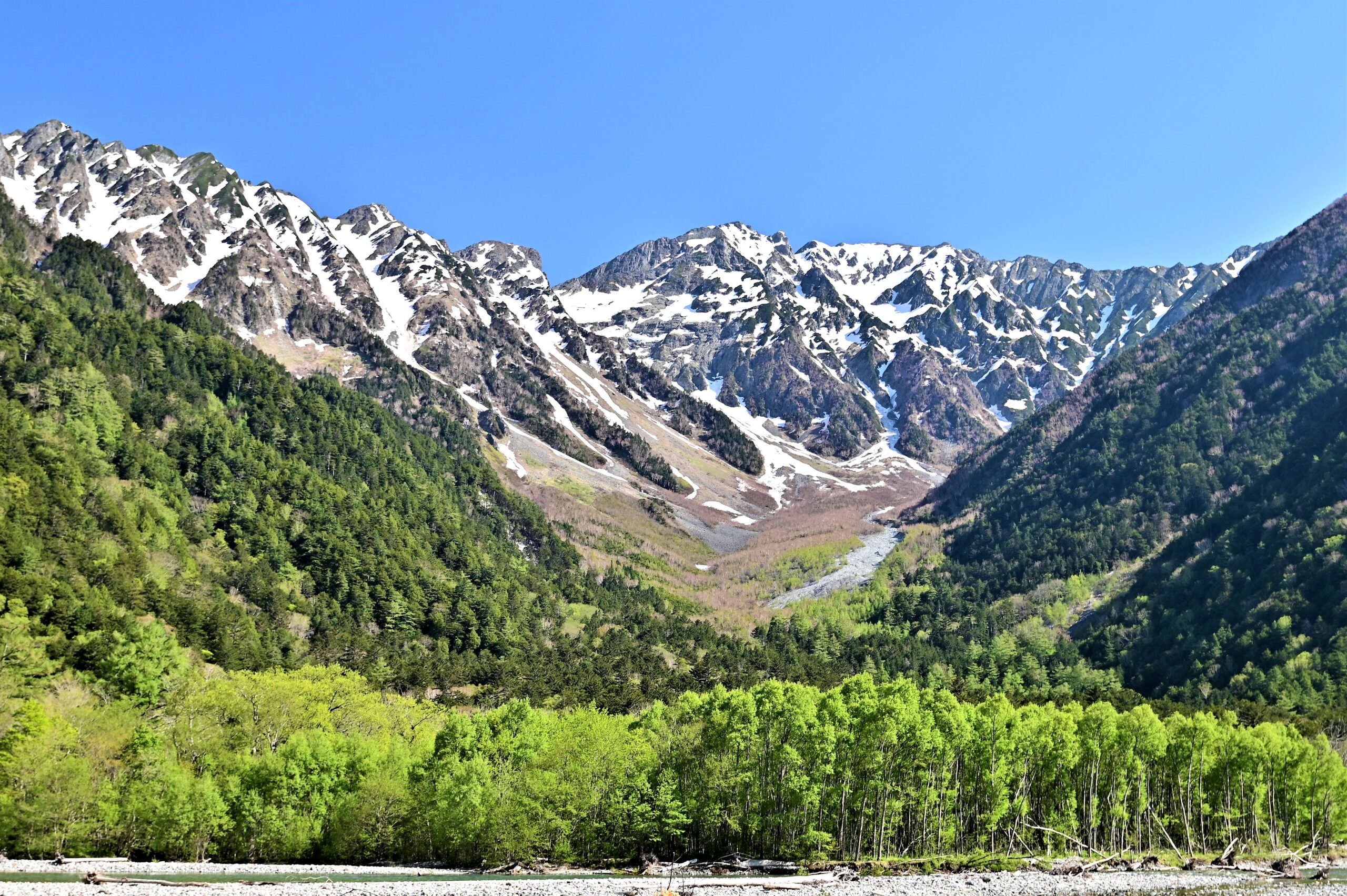 信州 エリア別ガイド