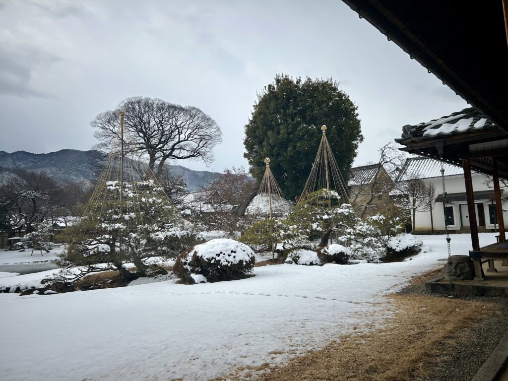 雪化粧した庭園
