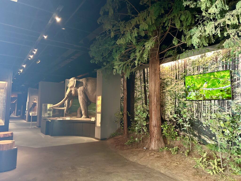 歴史館入り口の様子（後ほど紹介）