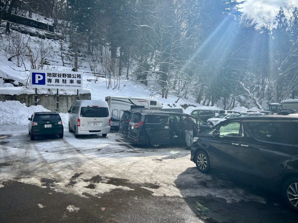 専用駐車場（P1）